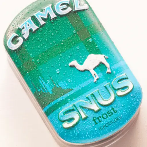 Expert Review: Camel Snus Pouches - Flavor, Size, and Nicotine Content ...