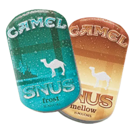 Expert Review: Camel Snus Pouches - Flavor, Size, and Nicotine Content ...