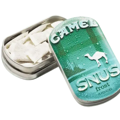 Expert Review: Camel Snus Pouches - Flavor, Size, and Nicotine Content ...