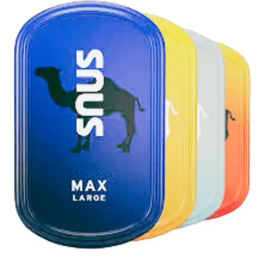 Expert Review: Camel Snus Pouches - Flavor, Size, and Nicotine Content ...